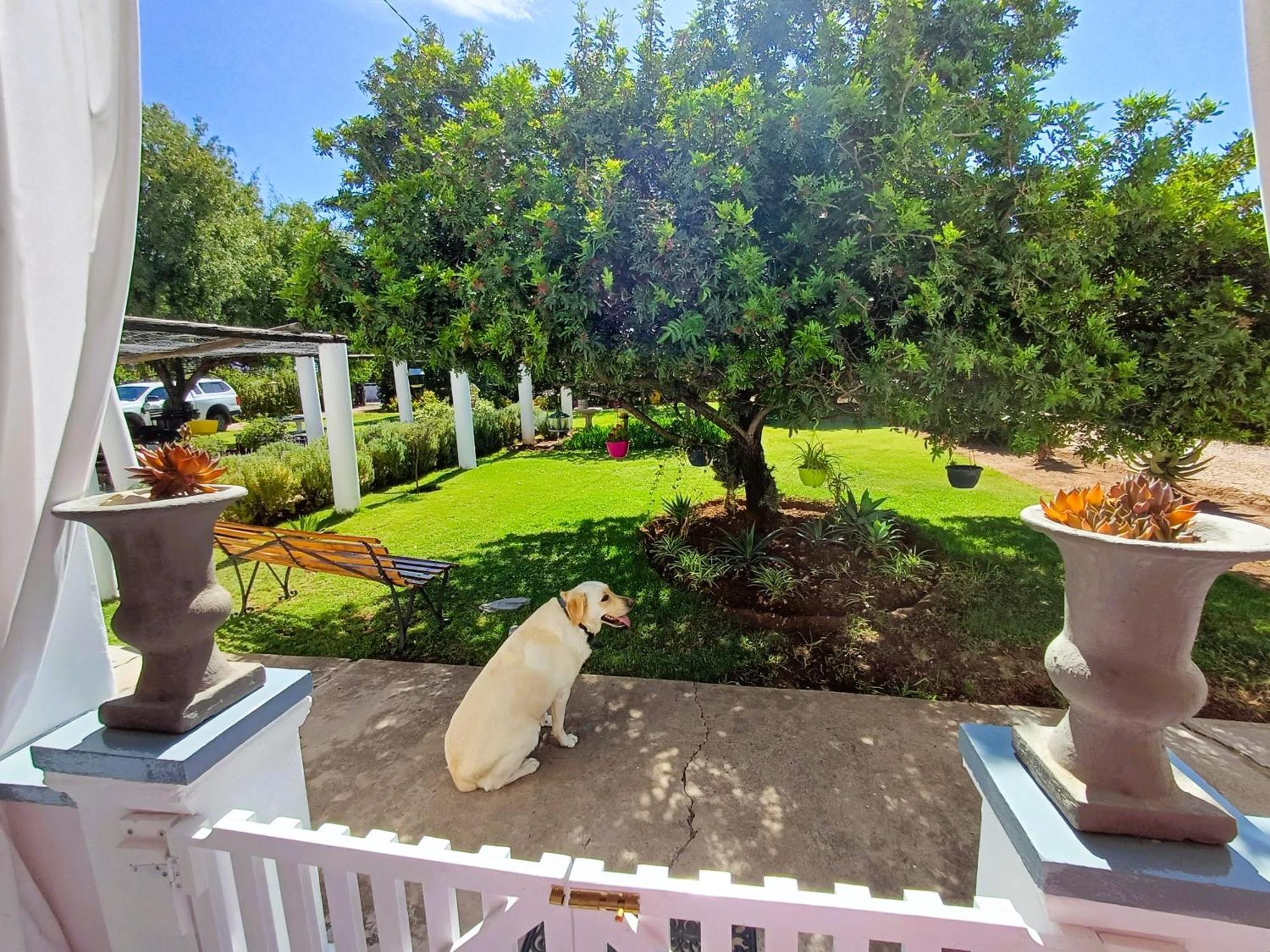 86 On Jubilee Hotel Oudtshoorn Bilik gambar